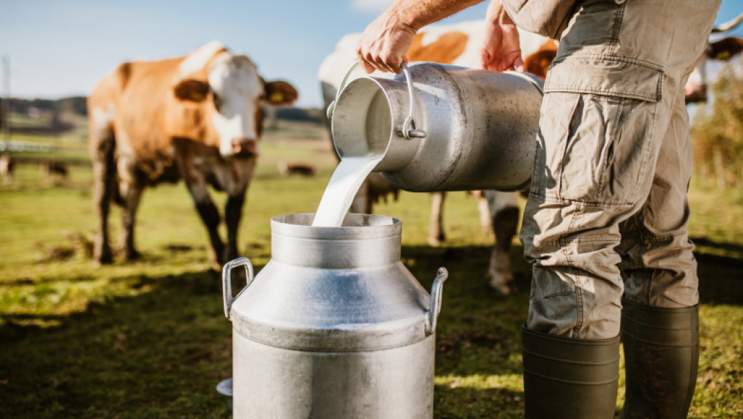 Fermierii români cer sprijin guvernamental pentru a crește producția de lactate