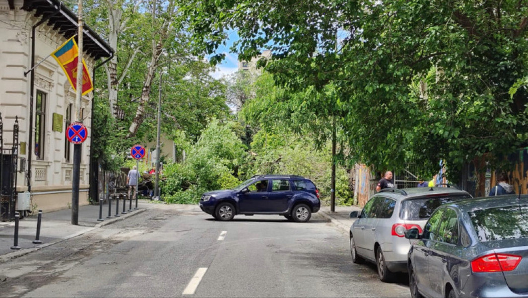 Un copac căzut în centrul Bucureștiului a avariat două mașini