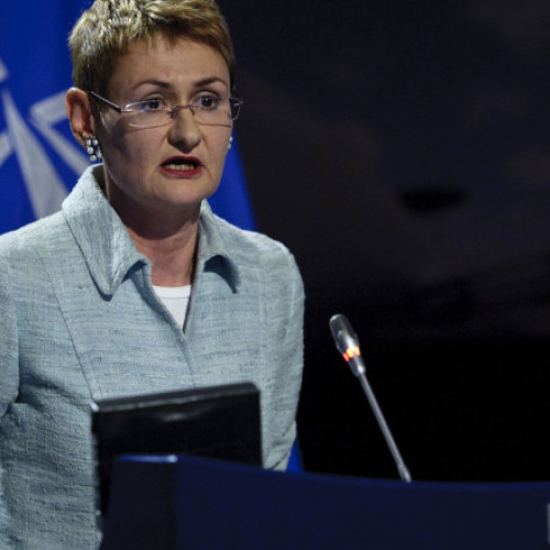 Lungescu: Articolul 4 nu duce automat la Articolul 5